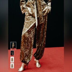 Velvet golden brown embroidered balloon pants